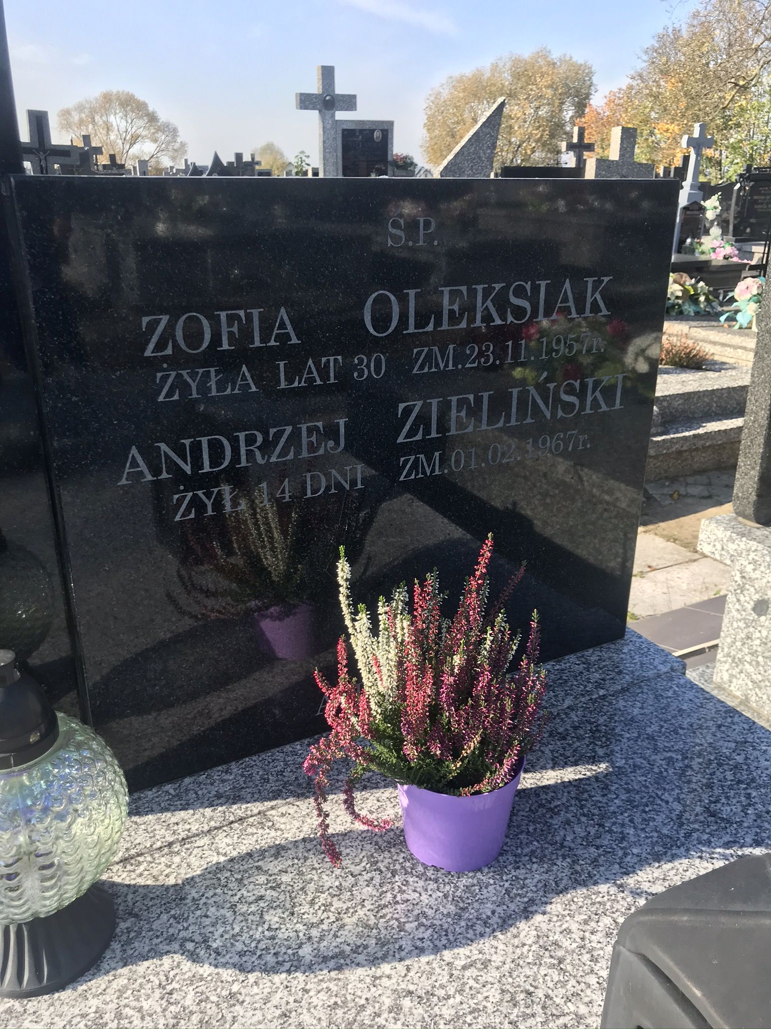 Zofia Oleksiak Pułtusk św. Mateusza - Grobonet - Wyszukiwarka osób pochowanych